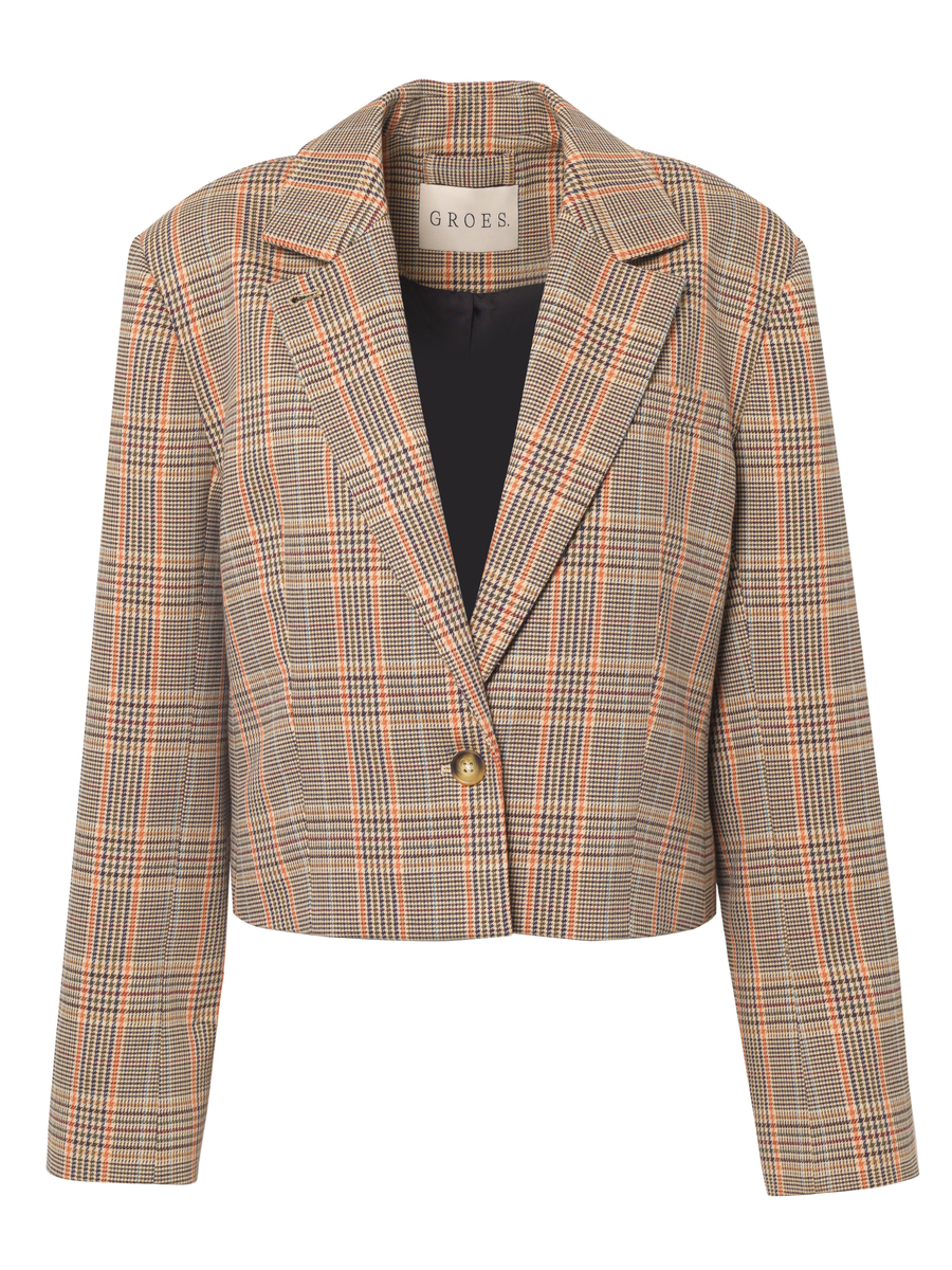 The Arne Blazer